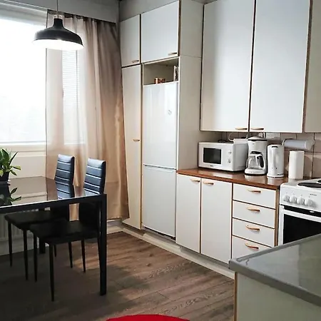 Valoisa Kaupunkikoti Hyvalla Tyoskentelytilalla Iisalmi